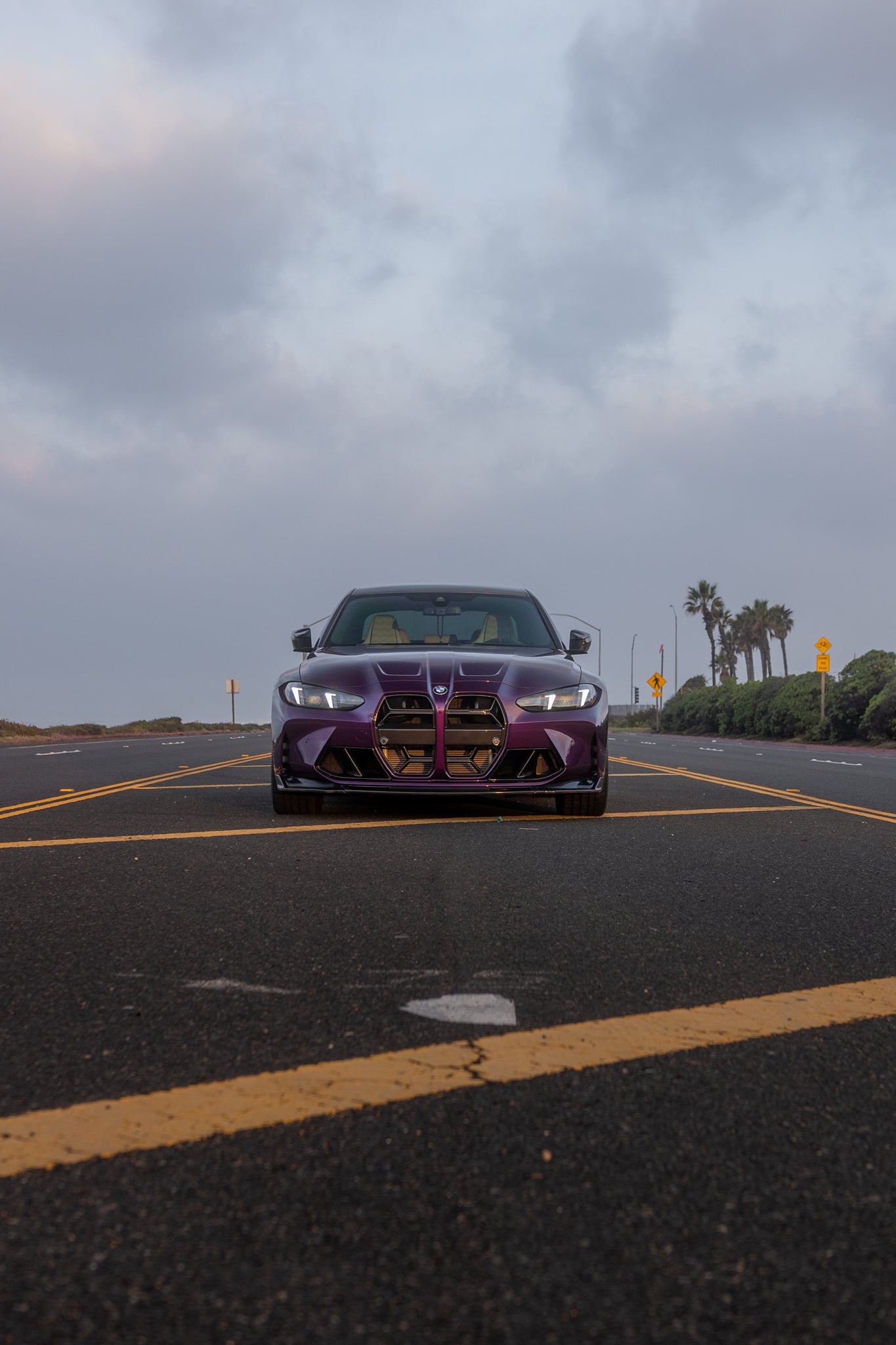 G8X CSL Style Dry Carbon Fiber Front Grill - G80 M3 | G82 / G83 M4