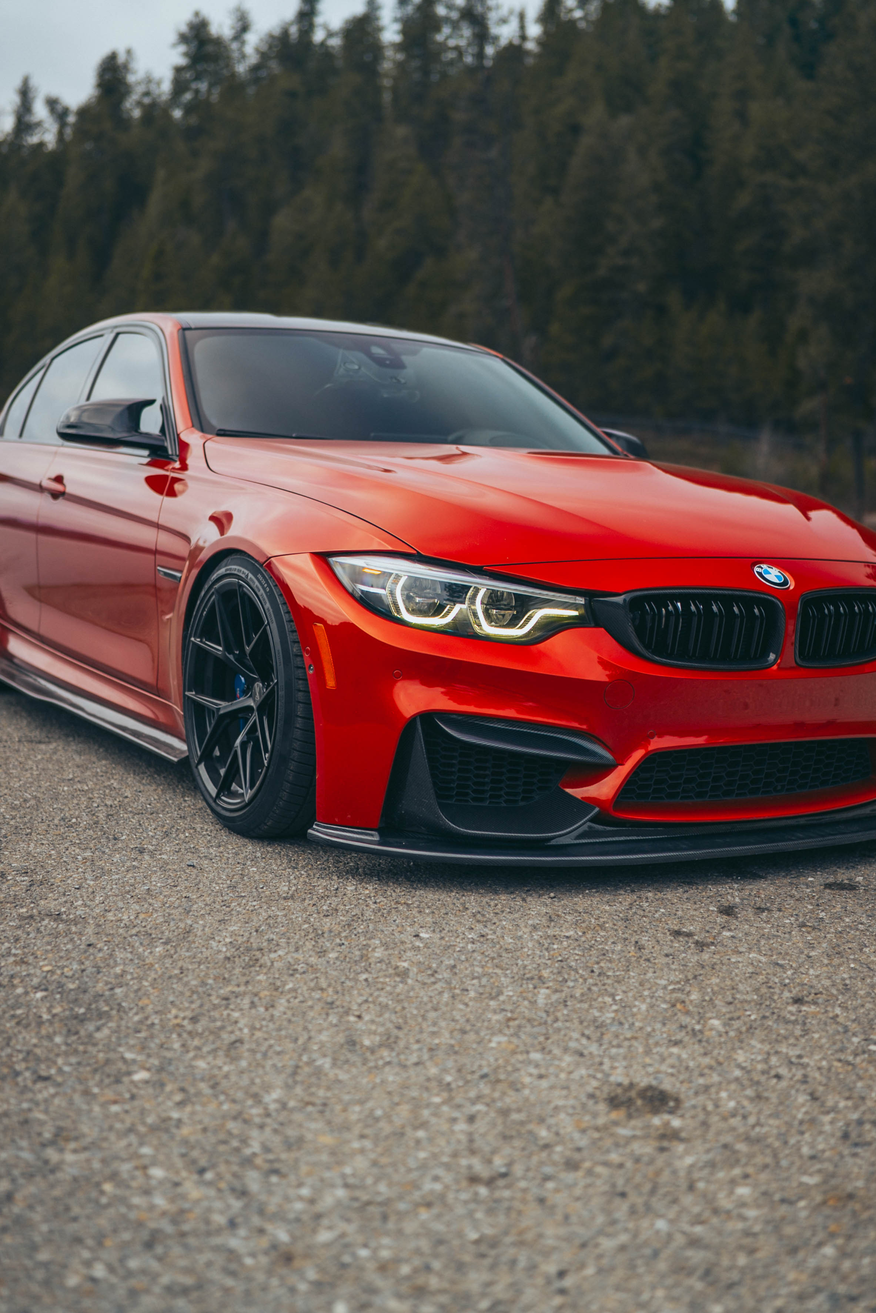 BMW F80/F82/F83 M3 & M4 Carbon Fiber Replacement Grilles