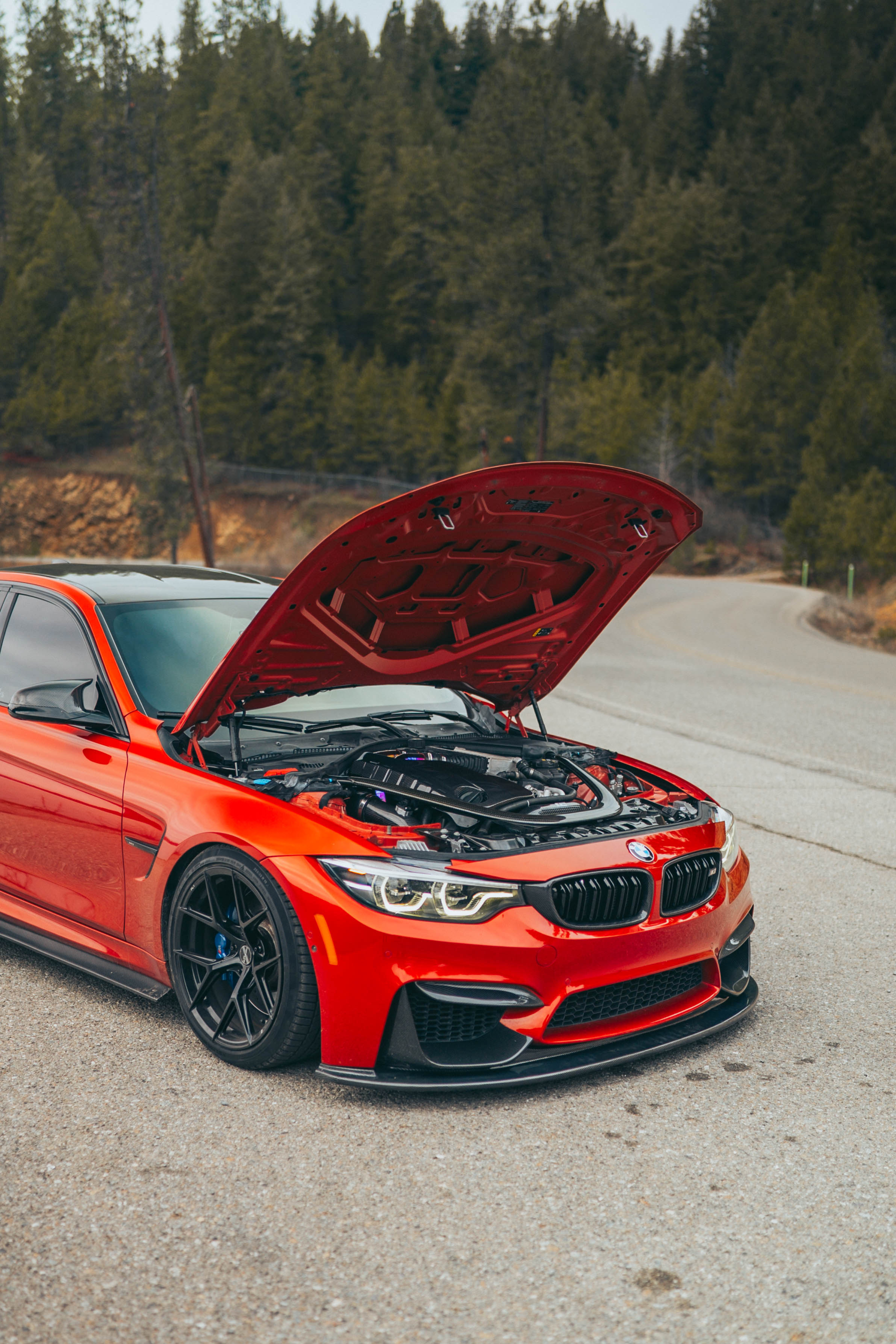 BMW F80/F82/F83 M3 & M4 Carbon Fiber Replacement Grilles