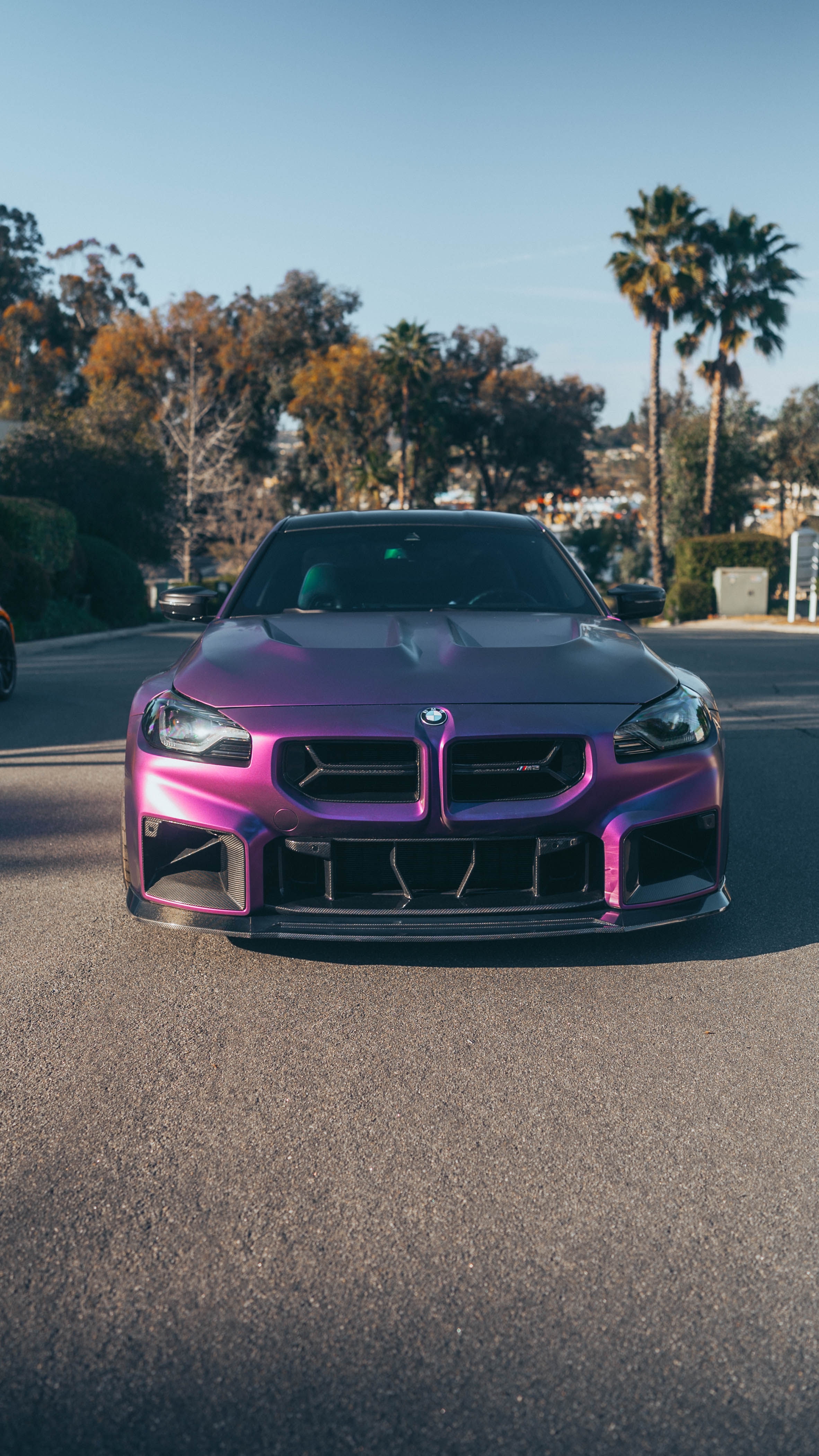 G87 M2 Cen-Cal Carbon Fiber Front Lip