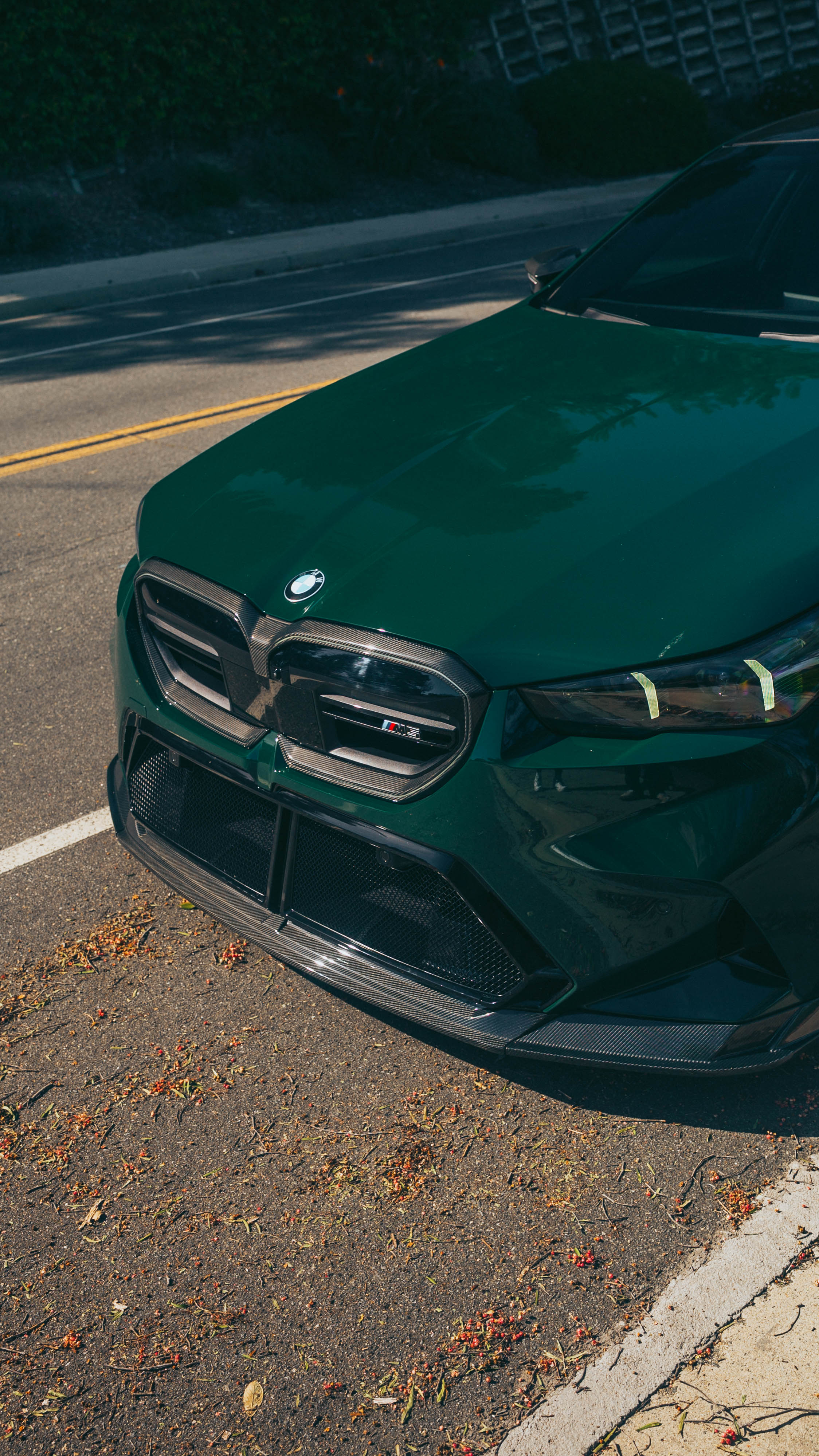 G90 & G99 M5/G60 & i5 5 Series Carbon Fiber Front Grill Trim