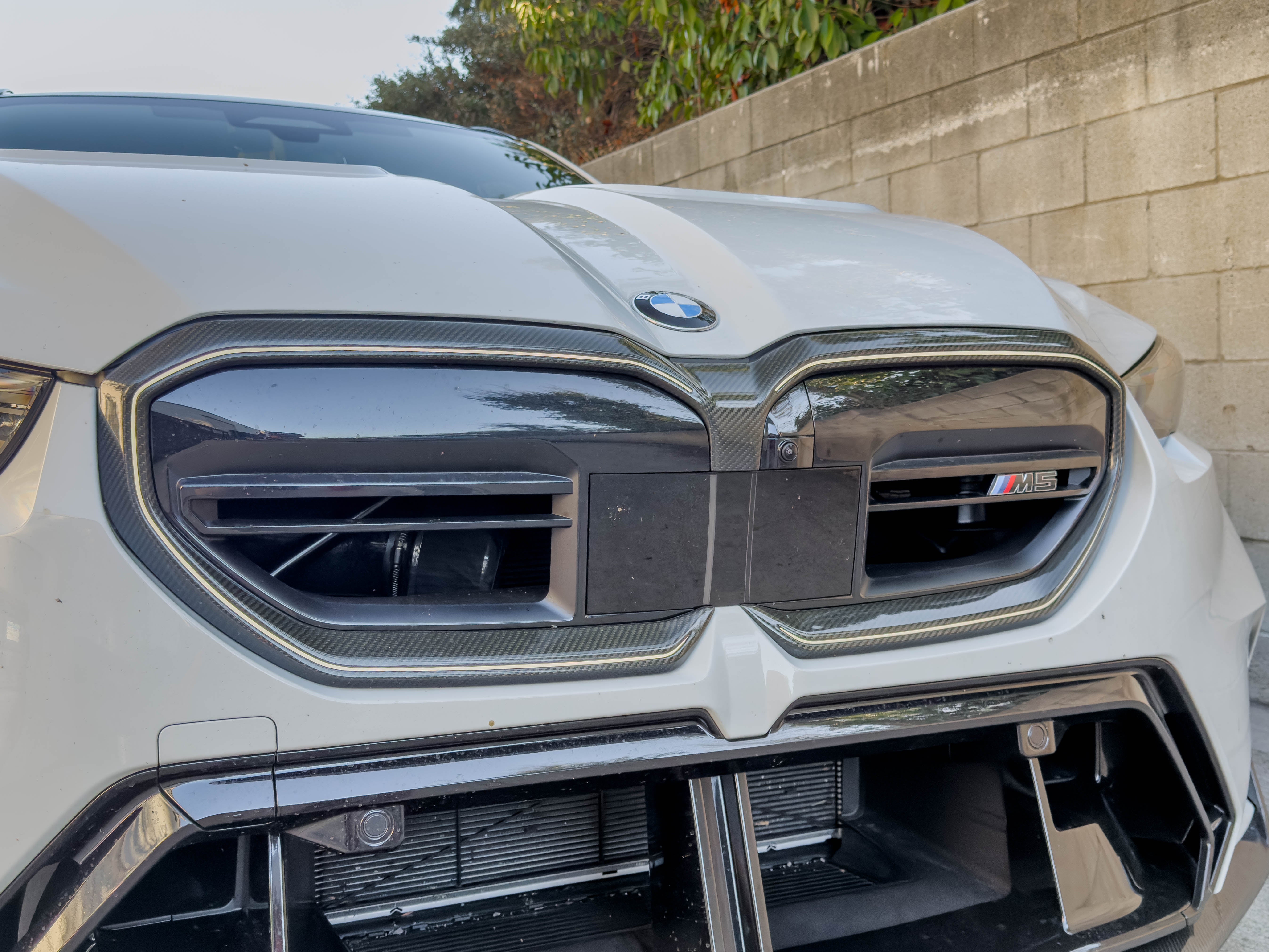 G90 & G99 M5/G60 & i5 5 Series Carbon Fiber Front Grill Trim