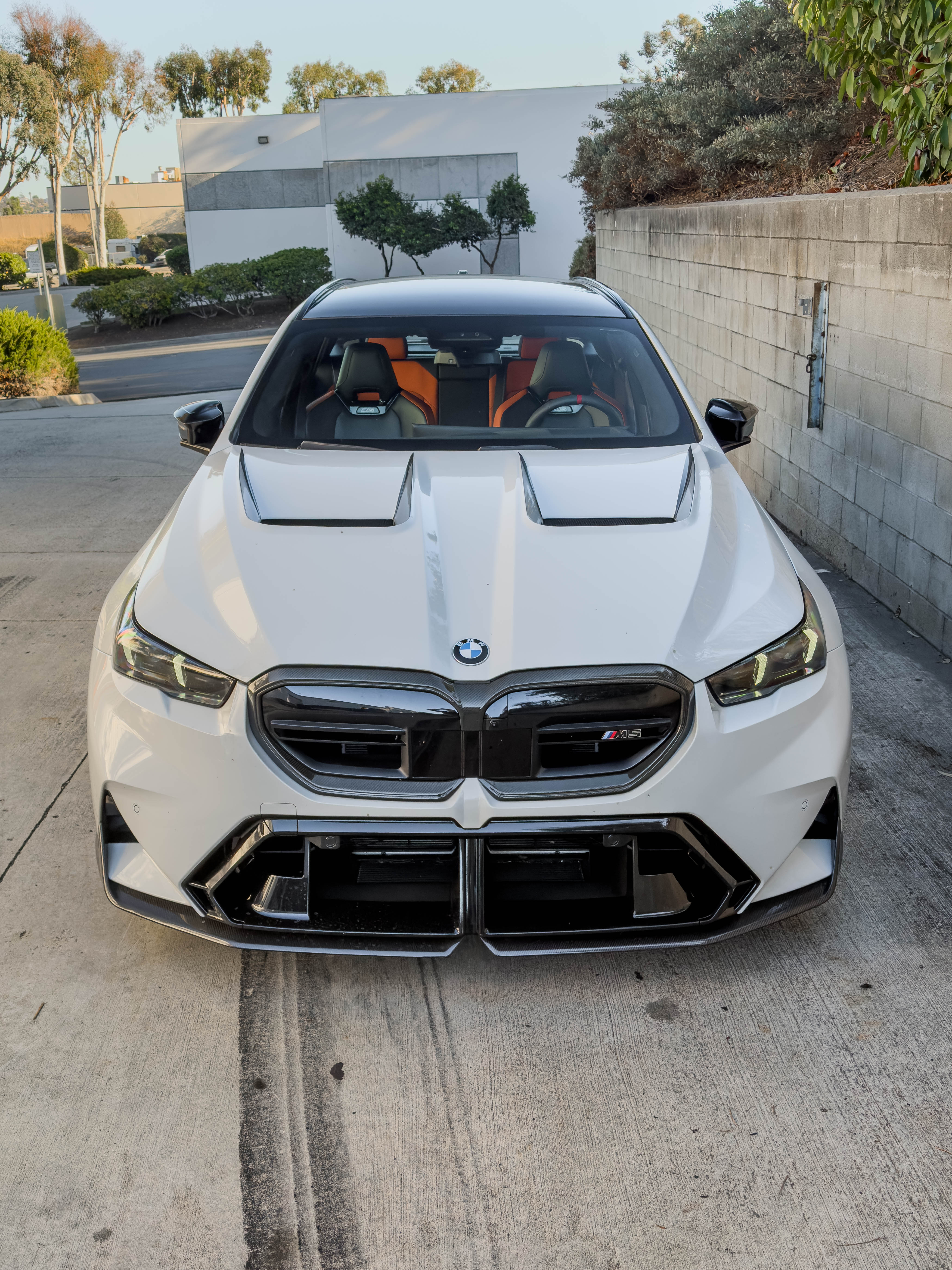 G90 & G99 M5/G60 & i5 5 Series Carbon Fiber Front Grill Trim