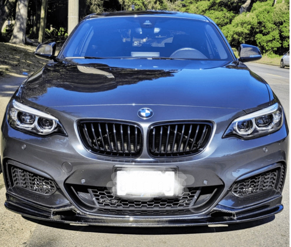 F22 3D Carbon Fiber Front Lip