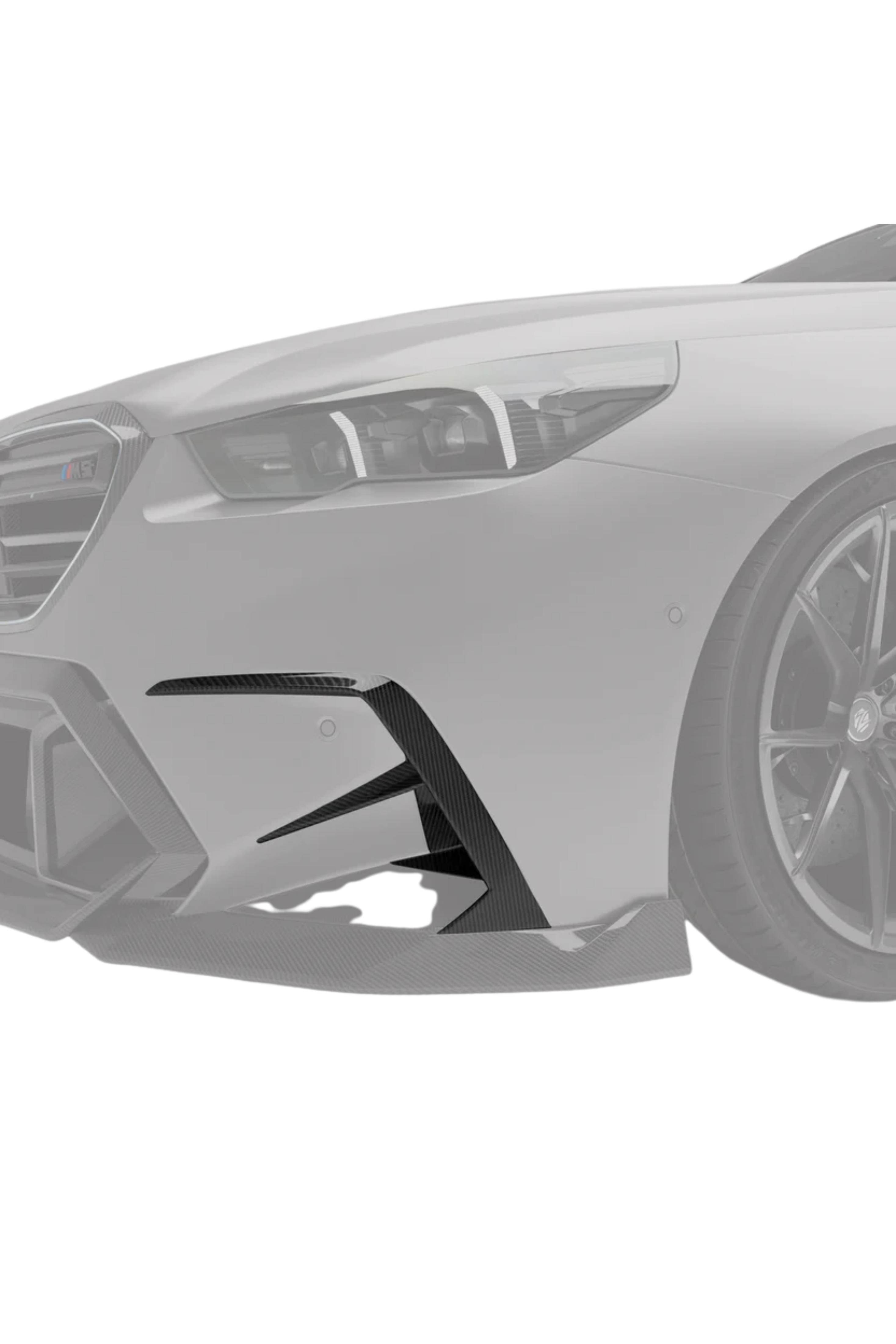 Revozport G90/G99 M5 Carbon Fiber Front Canards