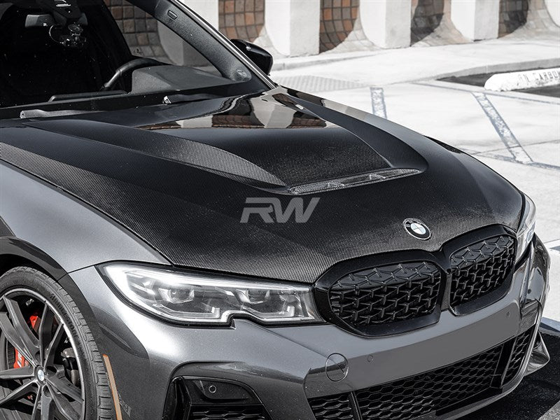 BMW G20 3-Series DTM Carbon Fiber Hood