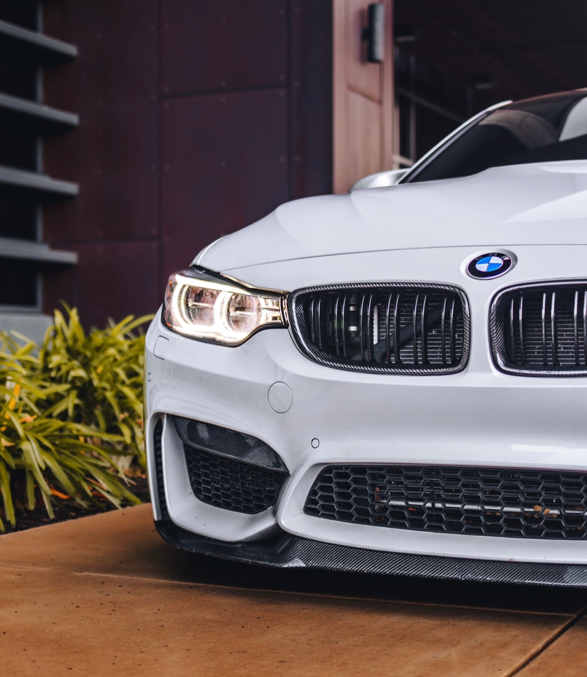 F8X M3 M4 Carbon Fiber Upper Fangs