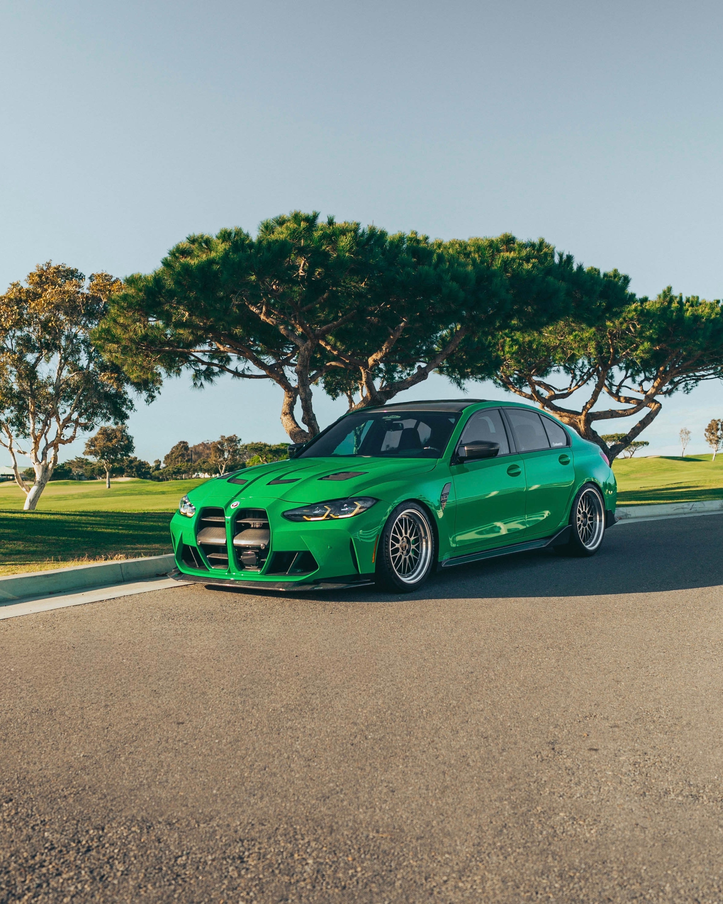 G80 M3