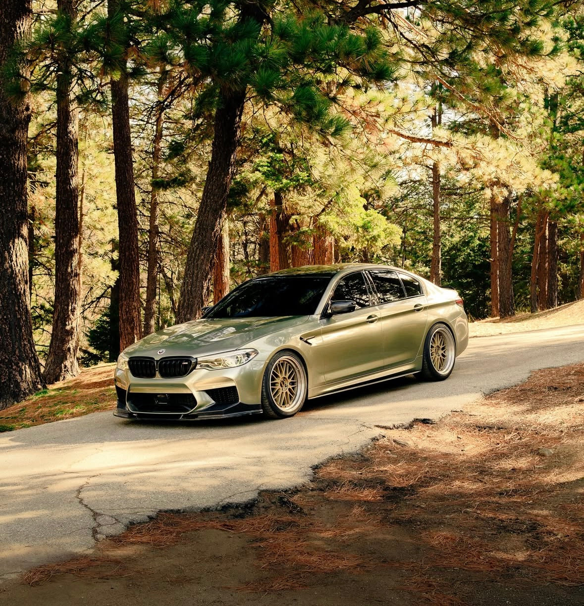 F90 M5