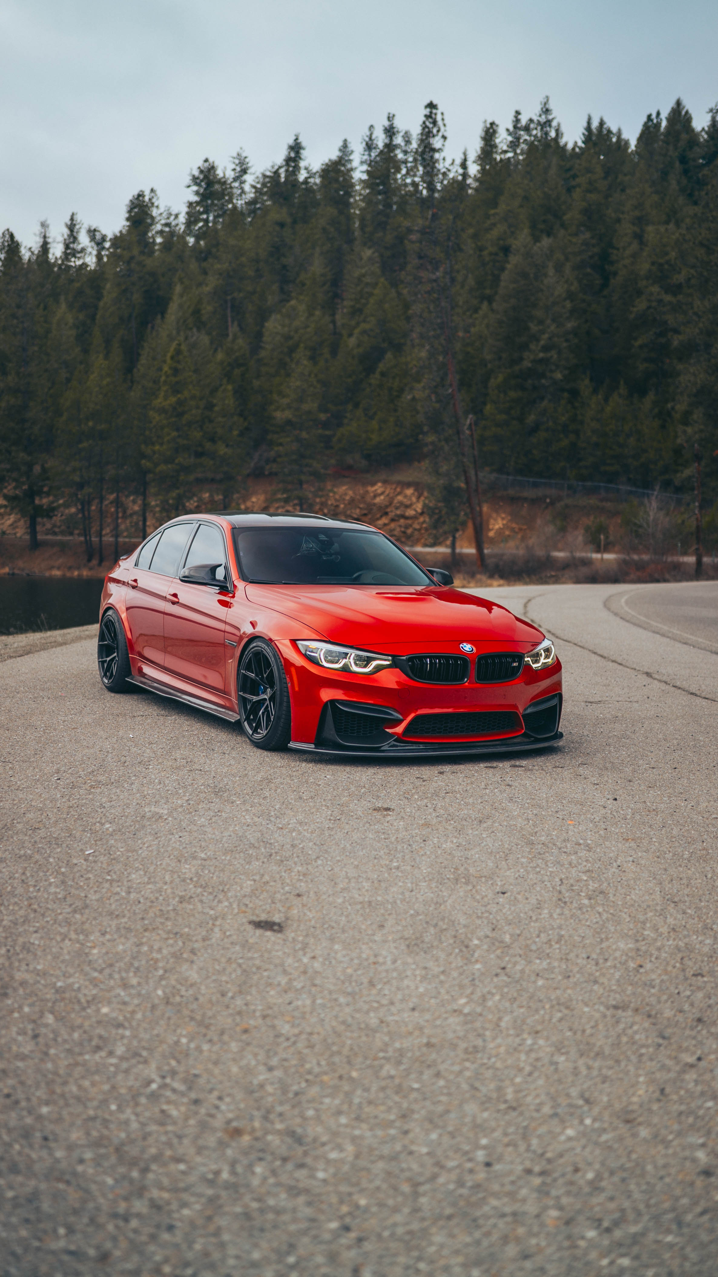 BMW F8X M3/M4 Carbon Fiber PSM Side Skirts - F80 M3/F82 F83 M4