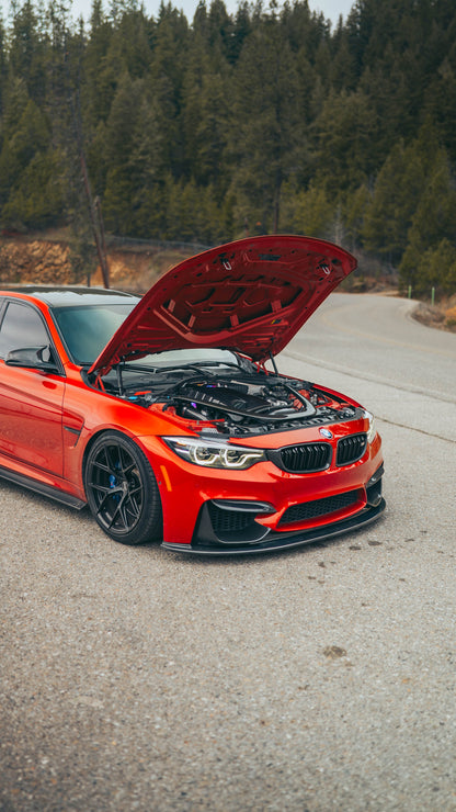 BMW F80/F82/F83 M3 & M4 Carbon Fiber Replacement Grilles