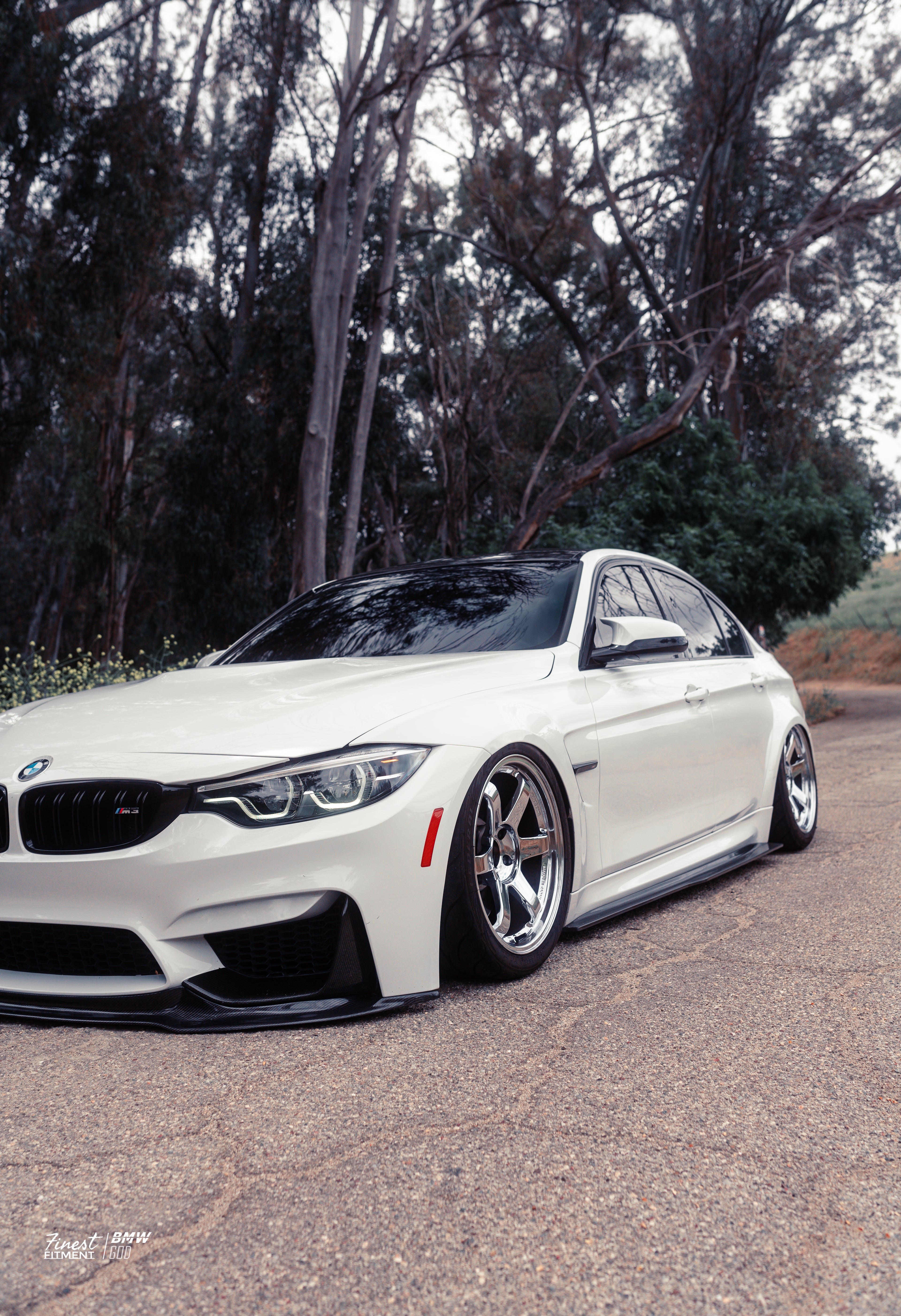 BMW F8X M3/M4 Carbon Fiber PSM Side Skirts