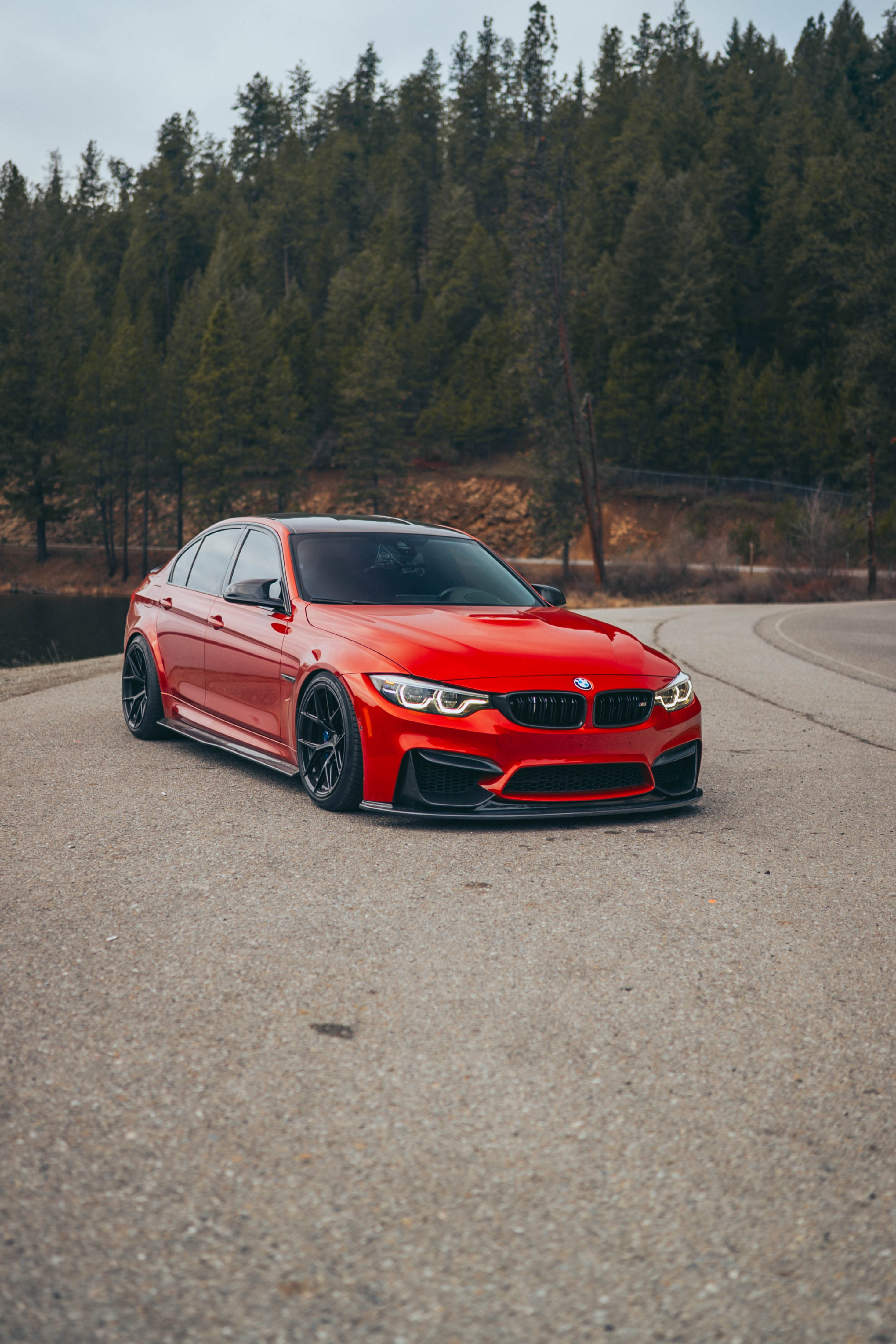 BMW F8X M3/M4 Carbon Fiber PSM Side Skirts - F80 M3/F82 F83 M4