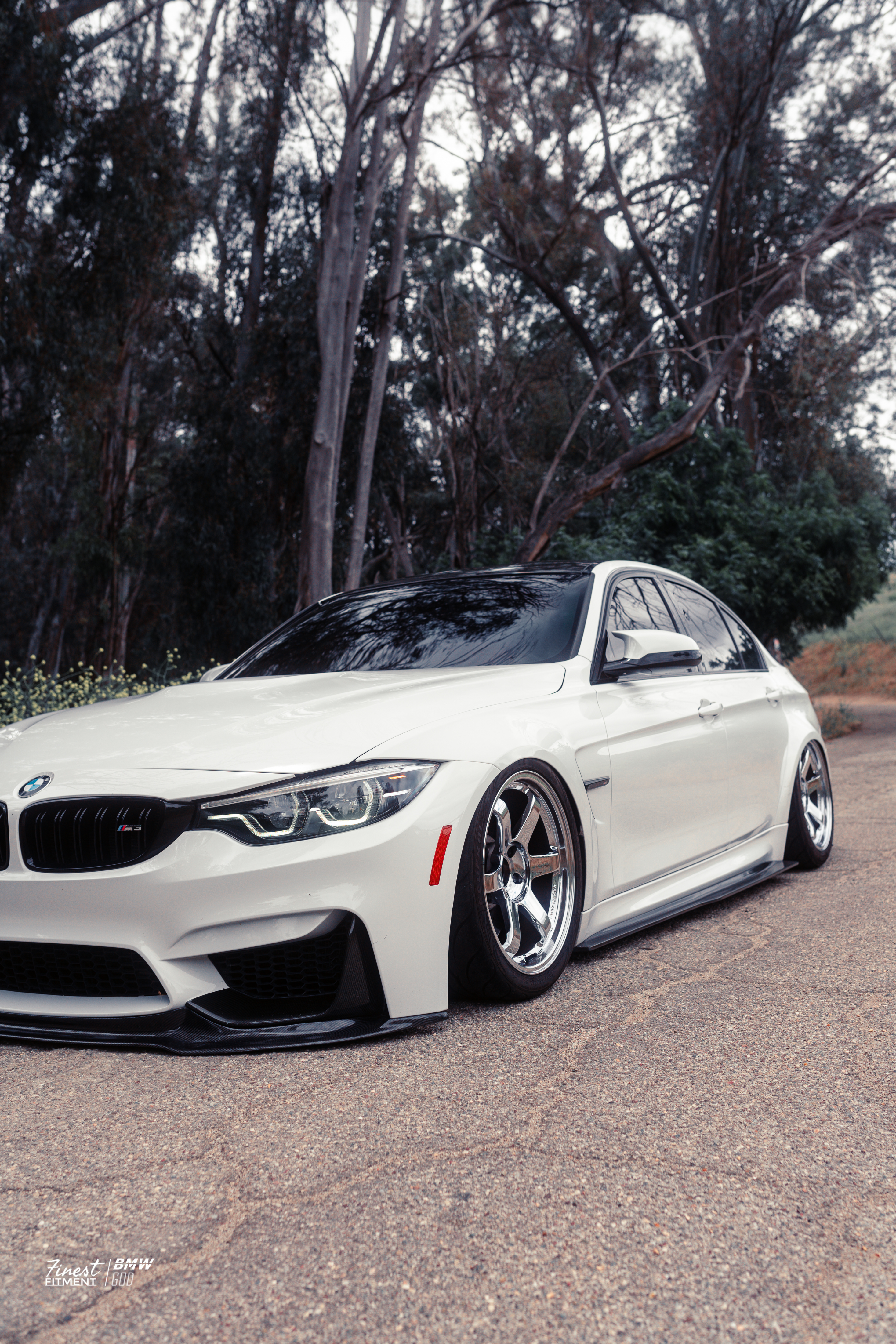 BMW F8X M3/M4 Carbon Fiber PSM Side Skirts - F80 M3/F82 F83 M4