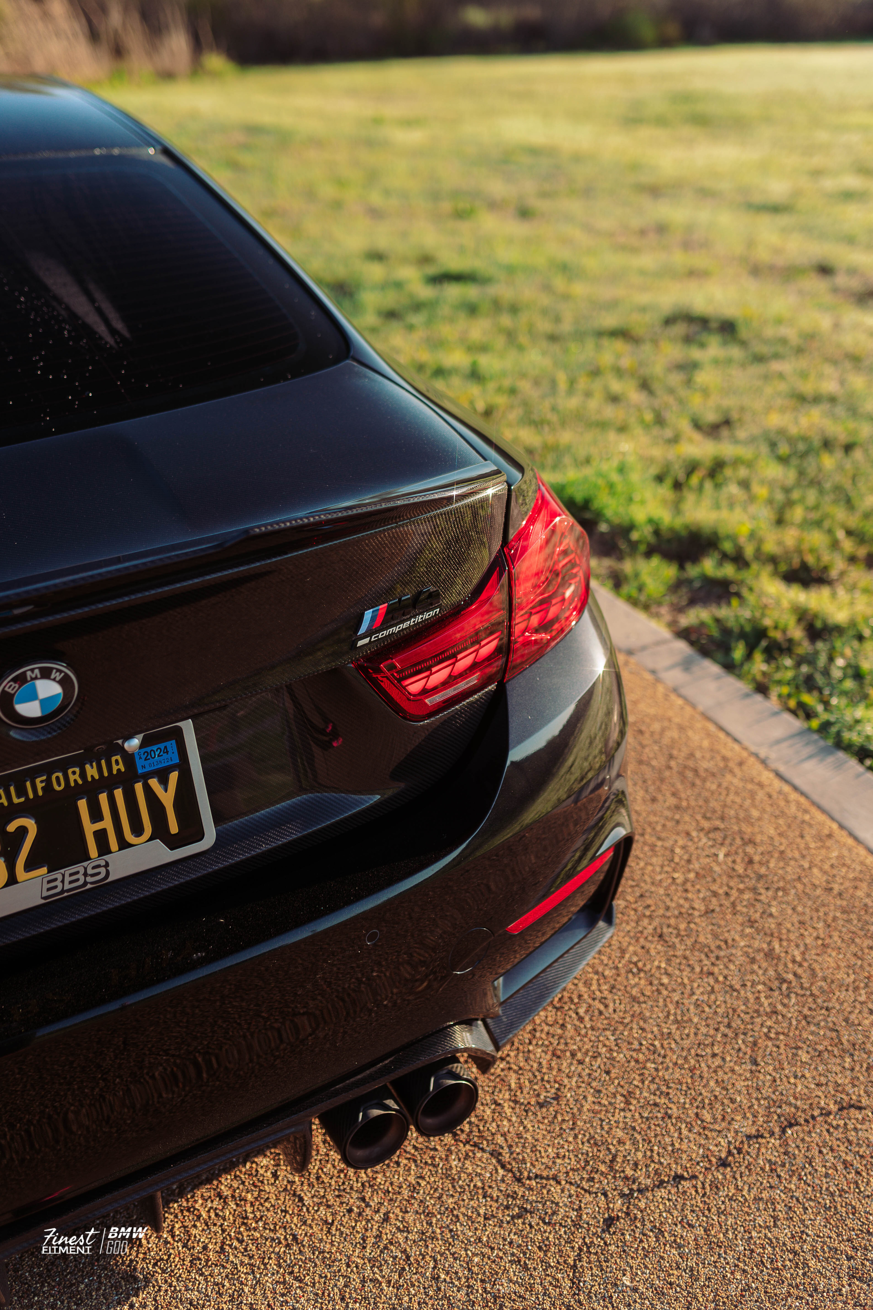 F82 M4/F36/F32 GTS Oled Taillights (Red)