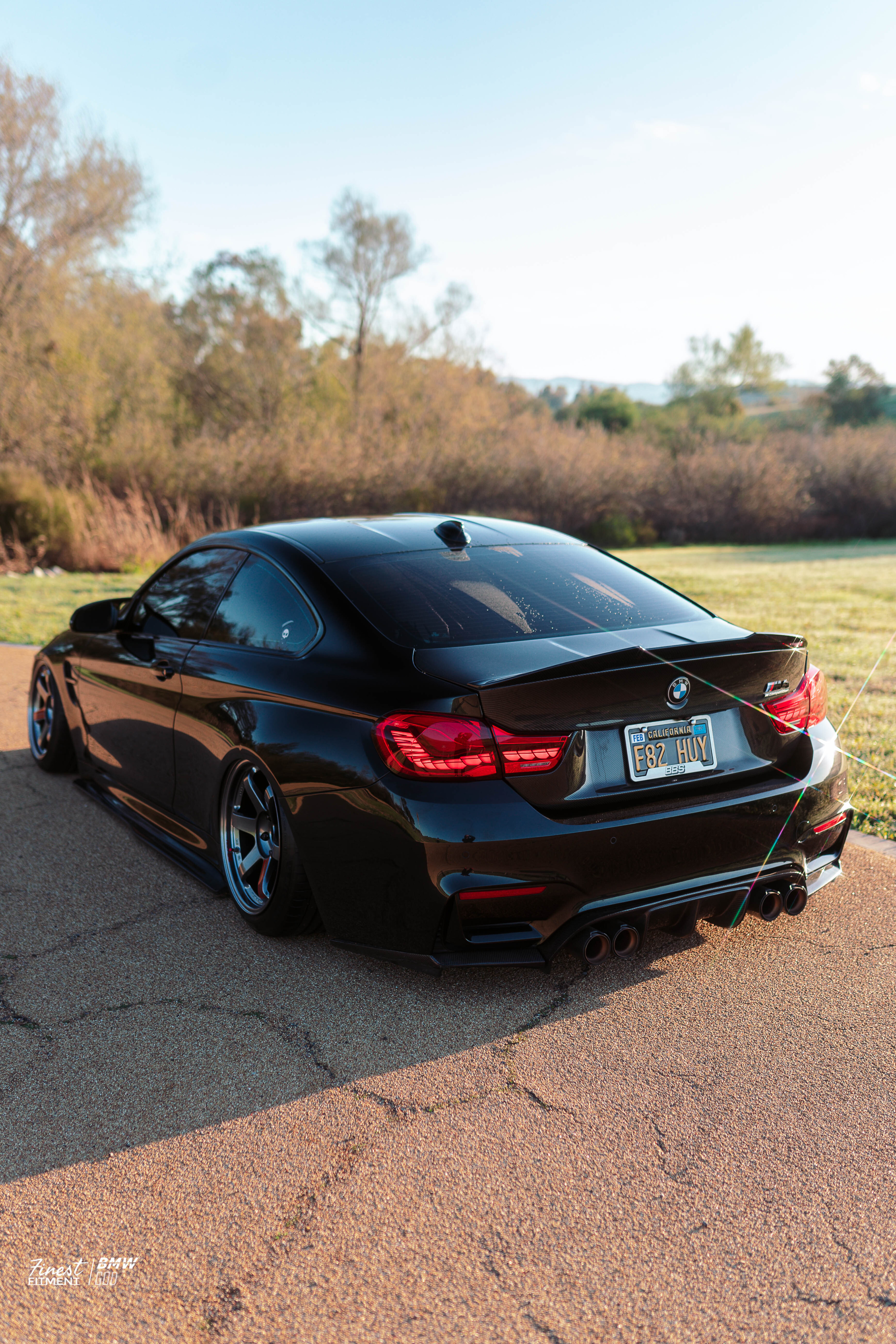F82 M4/F36/F32 GTS Oled Taillights (Red)