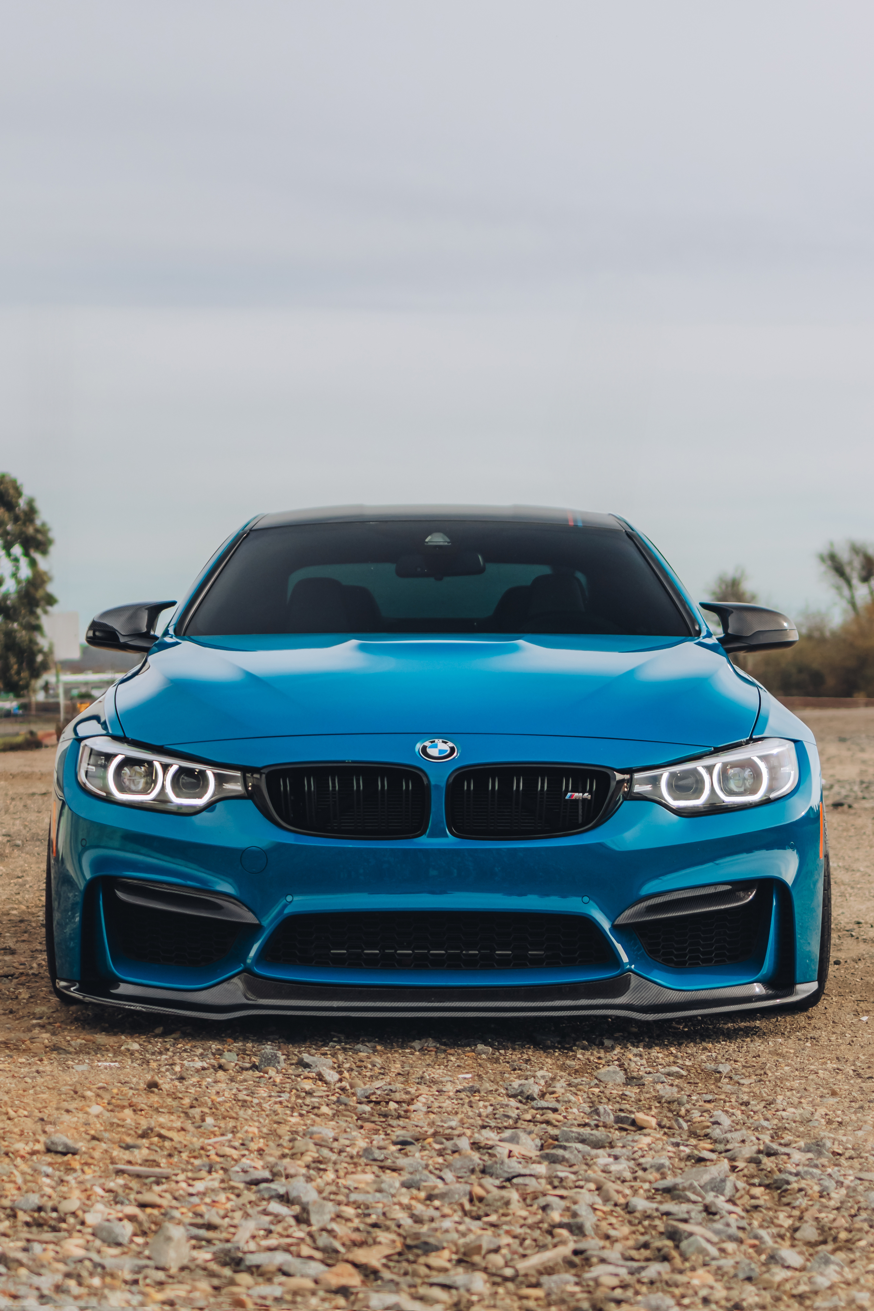F8X M3/M4 V Style Carbon Fiber Front Lip