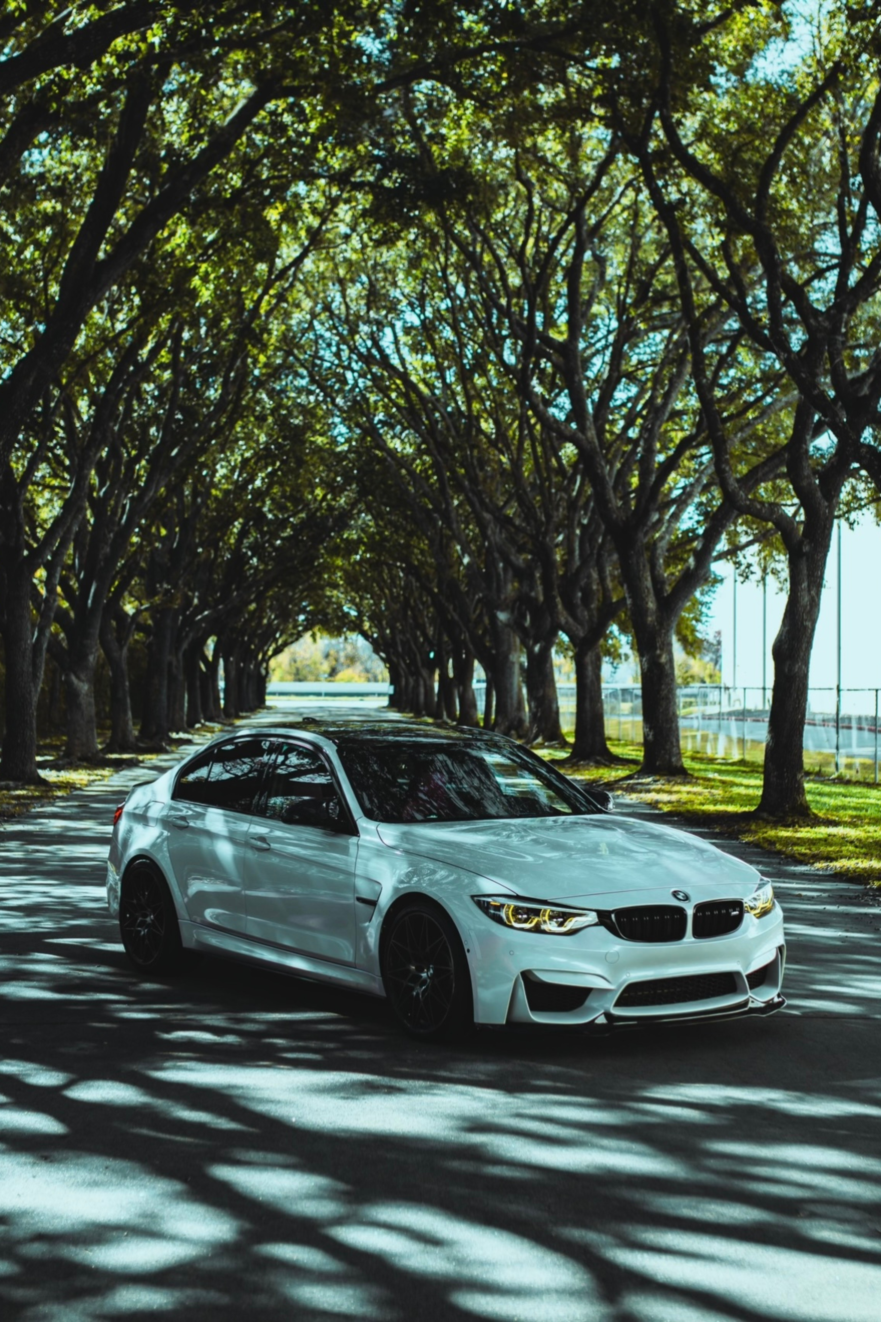 F8X M3/M4 Yellow CSL DRL Headlight Module