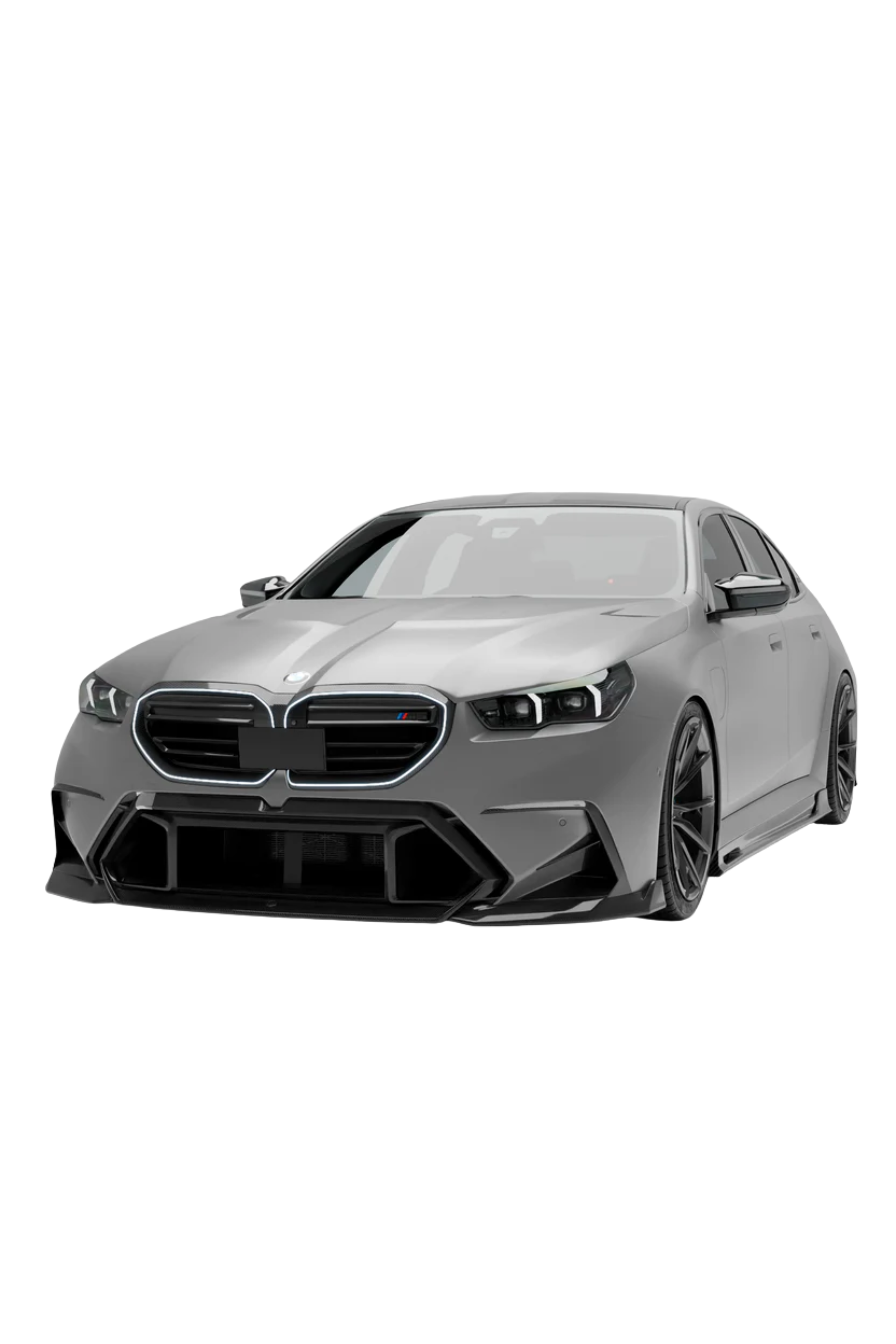 Revozport G90/G99 M5 Carbon Fiber Front Canards