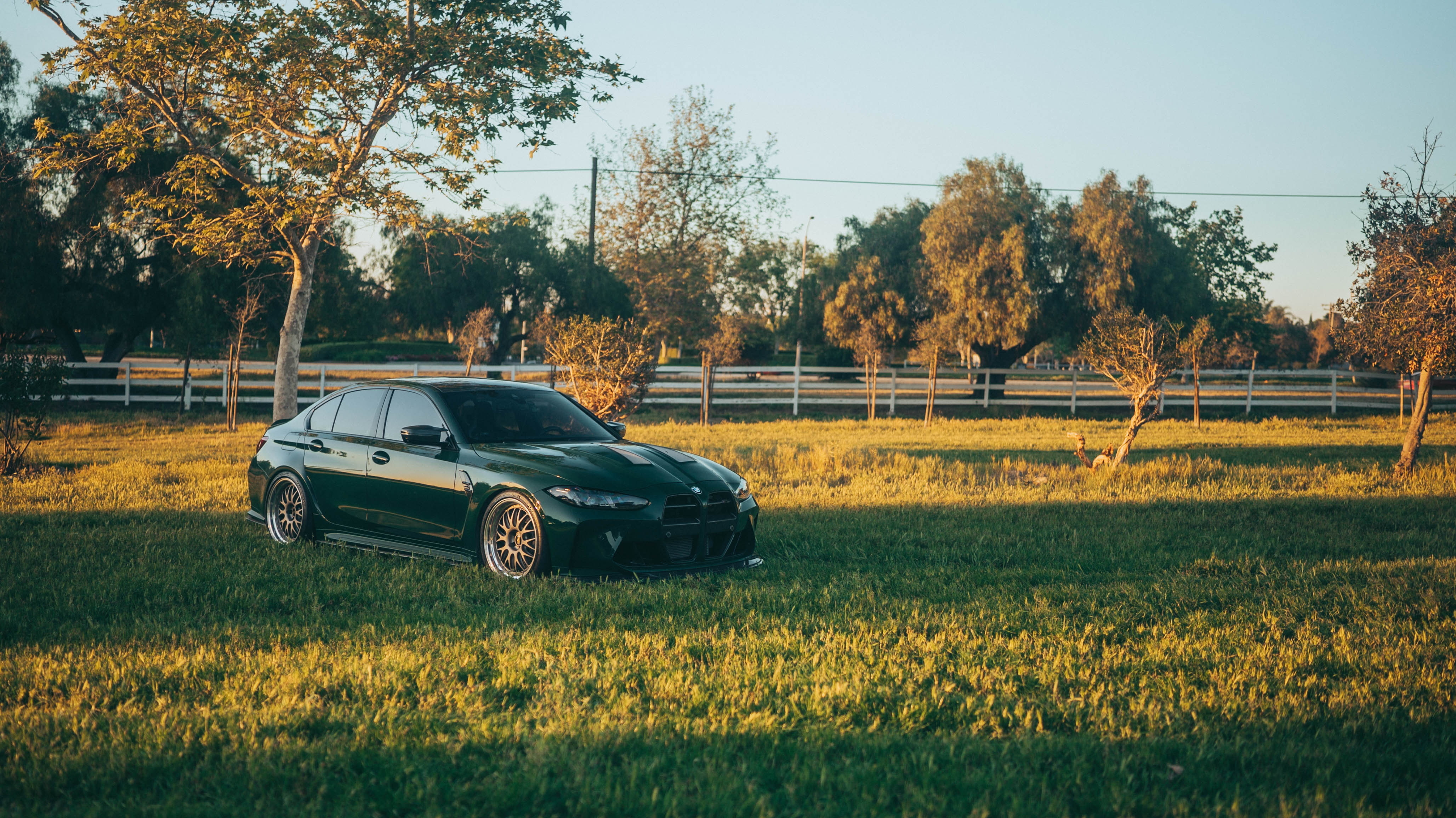 G80 M3 golden hour field