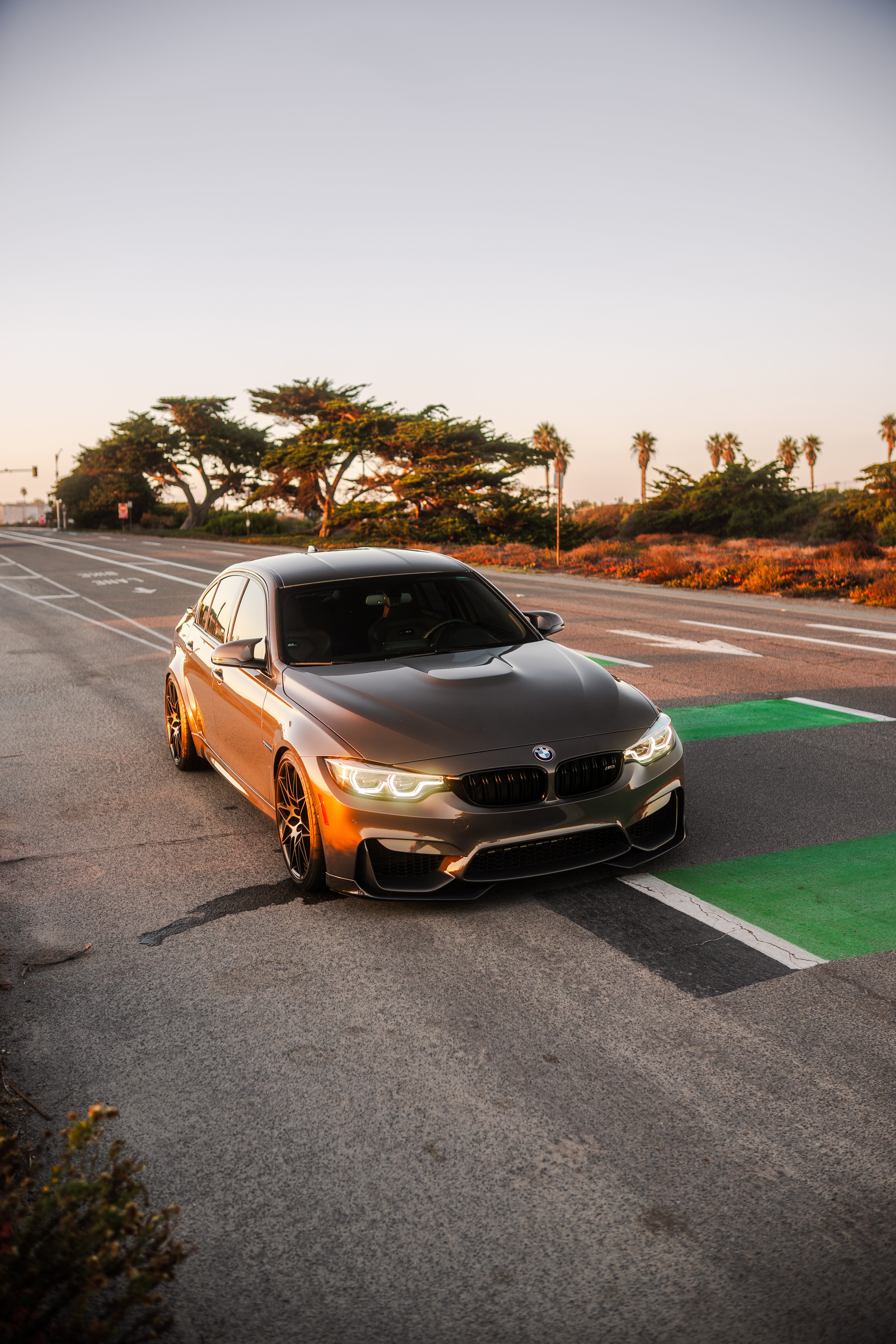 F30/F31 3 Series